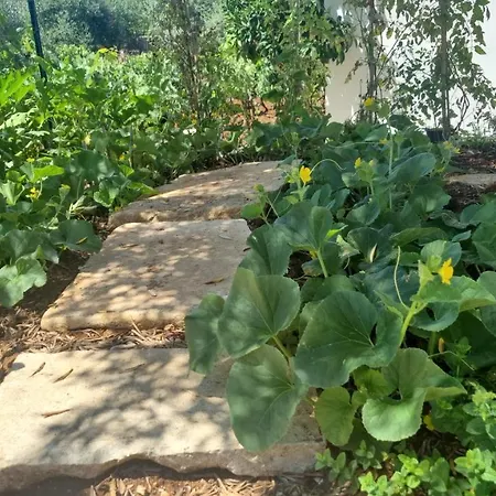 Semesterbostad I Trulli Dei Nonni Evelin *