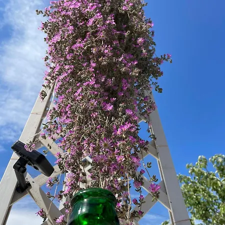 Semesterbostad I Trulli Dei Nonni Evelin Martina Franca