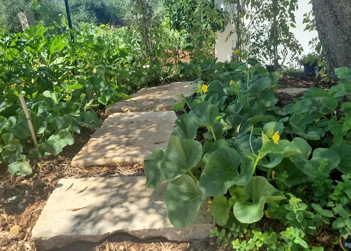 Casa vacanze I Trulli Dei Nonni Evelin *