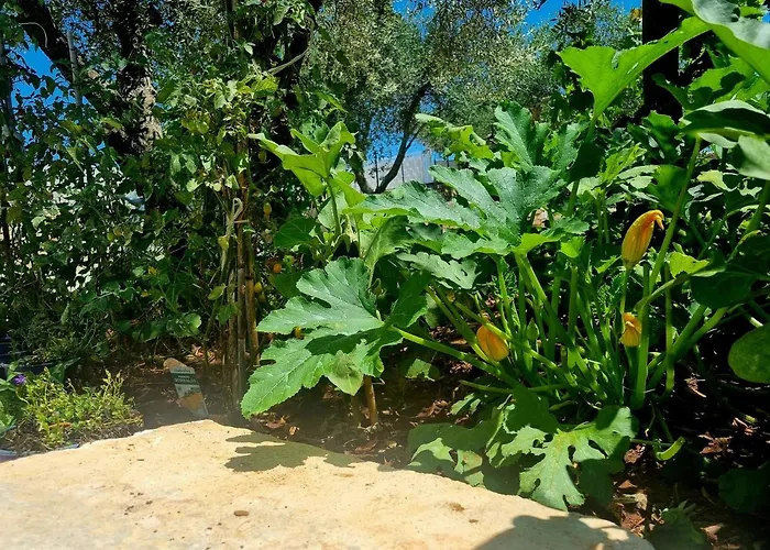I Trulli Dei Nonni Evelin Martina Franca